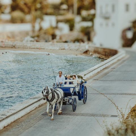 5694-wedding-photographer-spetses-greece