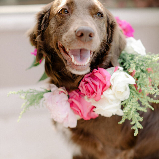 Colorful Athens wedding