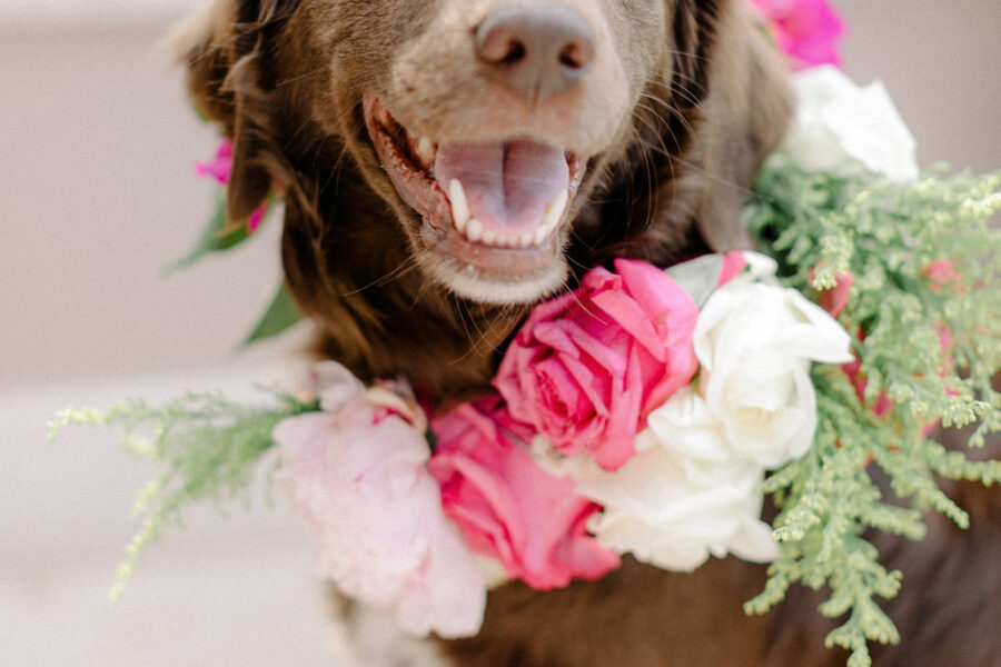 Colorful garden wedding