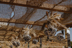 TINOS ISLAND BOHO DISCO EVENT 65